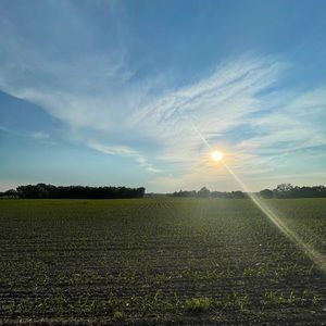 Meet your Posher, Chad